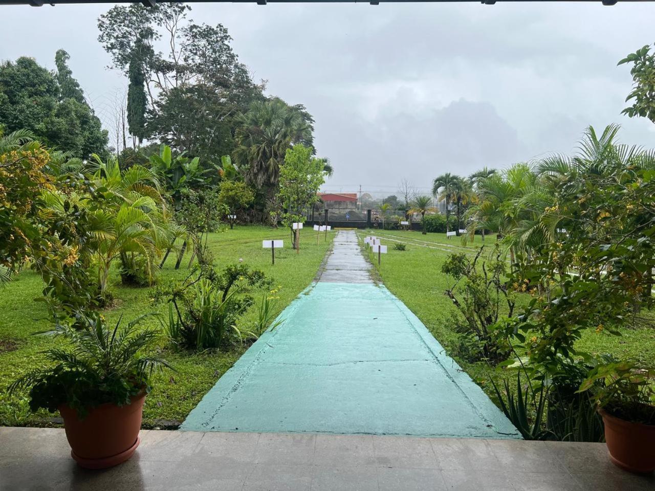 Casa Eva Lodging Costa Rica San Isidro De El General 외부 사진